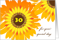 Aunt 30th Birthday Sunflowers in a Bright and Colorful Design card