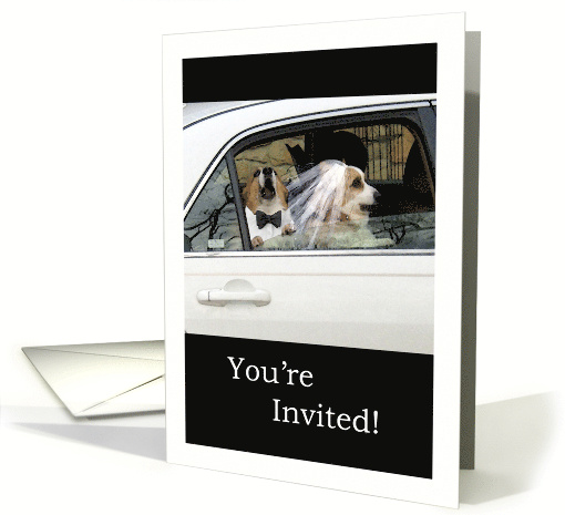 Wedding Vow Renewal Invitation with Funny Corgi Dog Couple in Car card