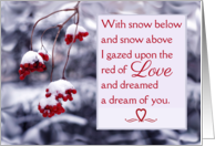 Valentine’s Day For Fiance with Photo of Red Berries in Snow card