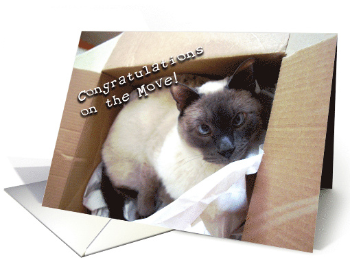 Congratulations on Move into New Home with Siamese Cat In Box card