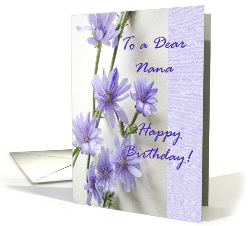Nana Birthday with Violet Lavender Colored Chicory Flowers card