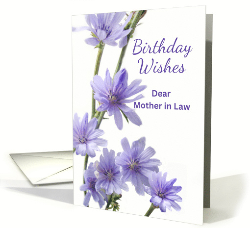 For Mother in Law Birthday with Lavender Chicory Flowers card (654199)