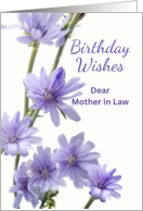 For Mother in Law Birthday with Lavender Chicory Flowers card