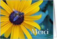 Merci Thanks in French with Bee on Black Eyed Susan card