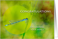 Congratulations on Earning Wings with Damselfly on Grass card
