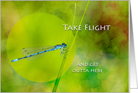 Good Bye and Farewell with Damselfly on Blade of Grass card