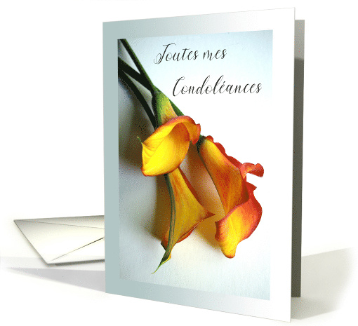 Sympathy in French Toutes mes Condoleances with Calla Lilies card