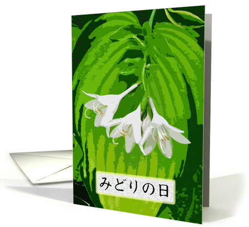 Midori no Hi Japanese Greenery Day with Hosta Flowers card (687474)