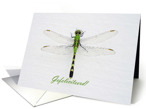 Congratulations in Dutch with Green Dragonfly Photograph card (699161)