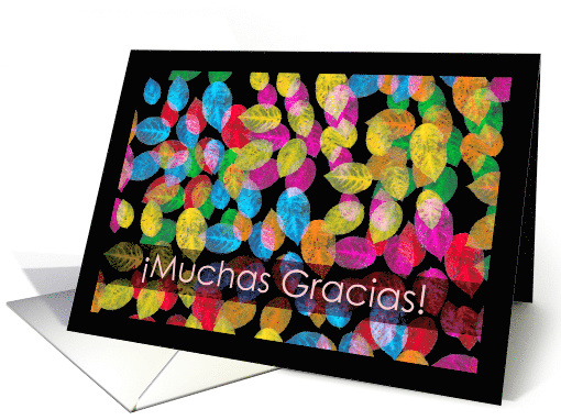 Muchas Gracias Thank You in Spanish with Leaves card (710668)