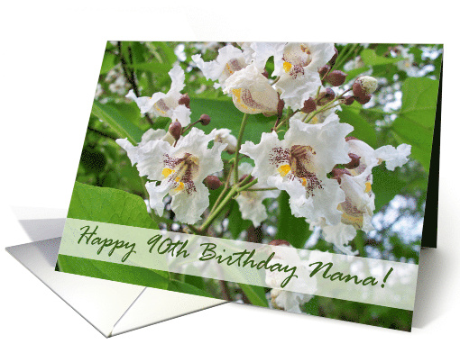 90th Birthday for Nana with Catalpa Tree Blooms card (715228)