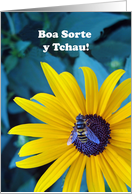 Portuguese Good Bye and Good Luck Boa Sorte y Tchau with Bee card