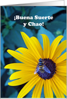 Spanish Good Bye Good Luck Buena Suerte y Chao with Bee card