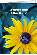 German Good Bye Good Luck Tschuss und alles Gute with Bee card