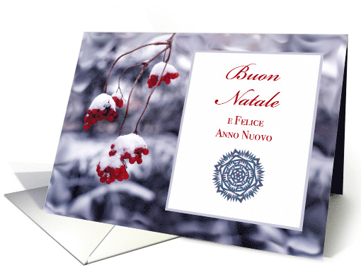 Italian Christmas Buon Natale with Red Berries in Snow card (717300)