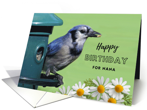 Nana Birthday with Blue Jay Eating a Seed at the Bird Feeder card