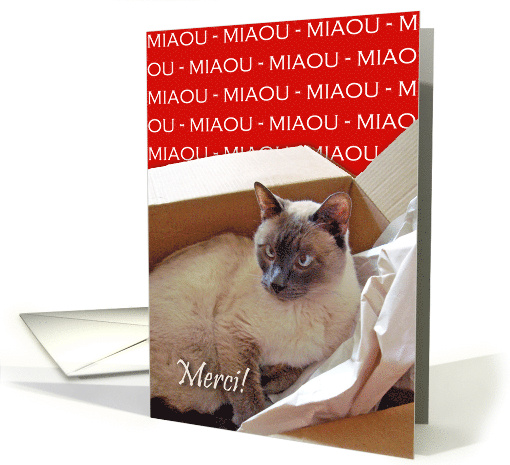 Miaou, Siamese Cat in Box, Thank You in French card (767054)