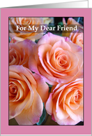 Friend Valentine’s Day Roses in Peach and Pink Colors card