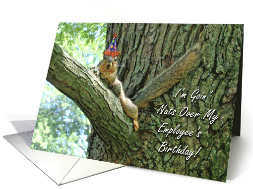 Employee Birthday with Funny Squirrel in Hat card (797149)