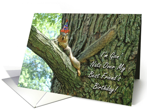 Best Friend Birthday with Funny Squirrel Wearing Hat card (797150)