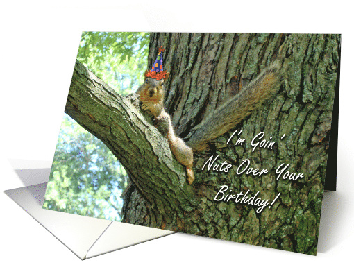 Funny Birthday with Squirrel Wearing Party Hat card (797160)