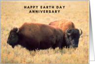 Anniversary on Earth Day with Bison Couple in Wyoming Grasslands card