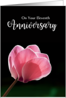 11th Wedding Anniversary with Pink Cyclamen on Black card