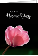 Name Day Wishes with Pink Cyclamen Flower on Black card