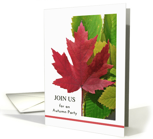 Fall Autumn Season Party Invitation with Red Maple Leaf card (878122)