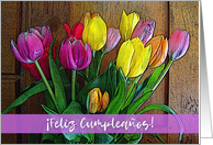 Spanish Birthday Feliz Cumpleanos with Tulip Arrangement and Wood card