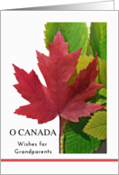 For Grandparents Canada Day with Red Maple Leaf on Green Leaves card