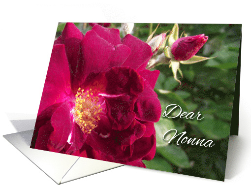 Birthday Roses for a Dear Nonna with Birthday Poem Inside card