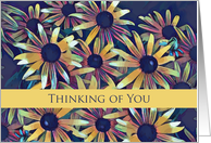 Bereaved Thinking of You with Black Eyed Susan Flowers card
