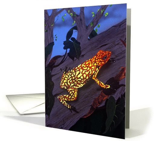 OrangeTree Frog at Night card (245164)