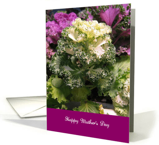 Happy Mother's Day, green & white leaf plant card (1165780)