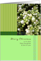 Merry Christmas to my dear Step Daughter & Son in Law, green bean card