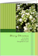 Merry Christmas to my dear Step Son & Daughter in Law, green bean card