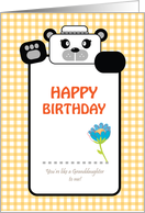 happy birthday, like a granddaughter to me, panda card