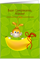 buon compleanno, nipote card