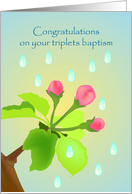 congratulations on your triplets baptism, flower bugs card