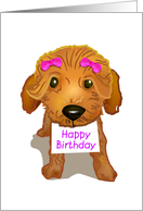 brown toy poodle, happy birthday, card