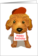 brown toy poodle, happy birthday, card