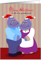 Merry Christmas to new hippopotamus grandparents card