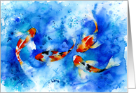 Koi Carp in Blue Water card