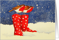 Christmas Robins, Polka dot boots in snow card