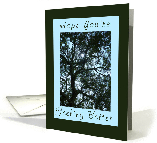 Get Well/Feel Better card (353959)