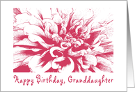 Birthday, Granddaughter card