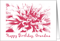 Birthday, Grandma card
