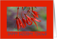 Friend Birthday, flowers card