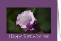 Birthday, Sis, Angel’s Trumpet card